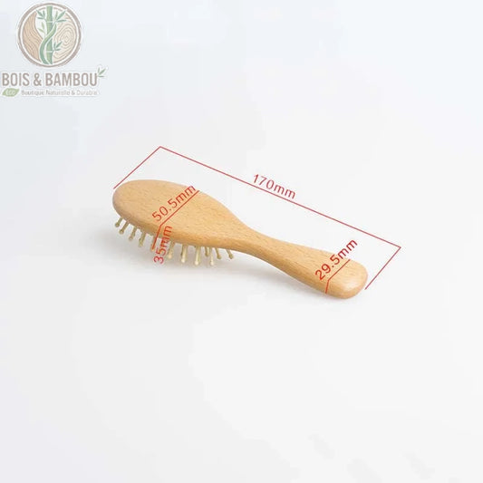 Brosse en bois de hêtre petit format avec dimensions 170 mm
