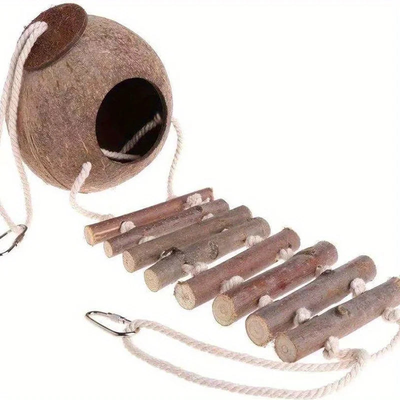 Nid en noix de coco naturelle avec échelle