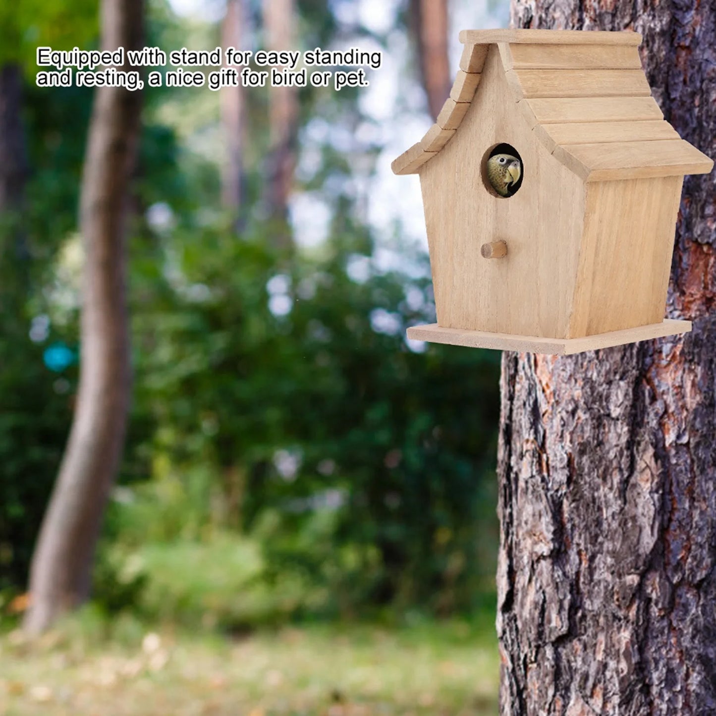 Maison d'élevage suspendue en bois de pin