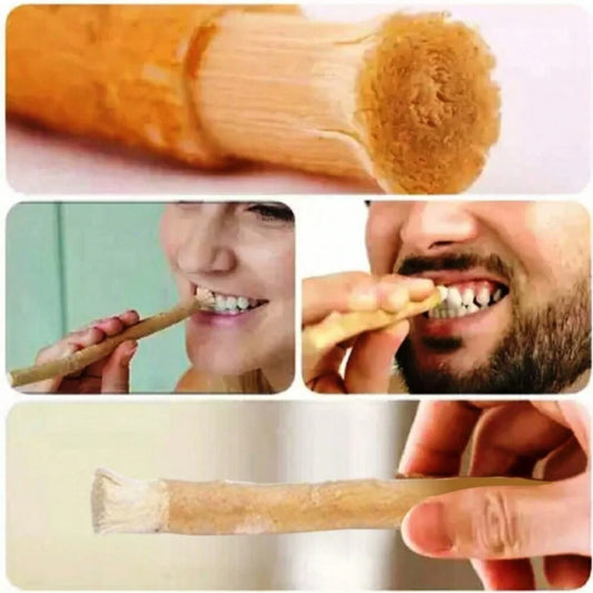Brosse à Dents Miswak à la Menthe