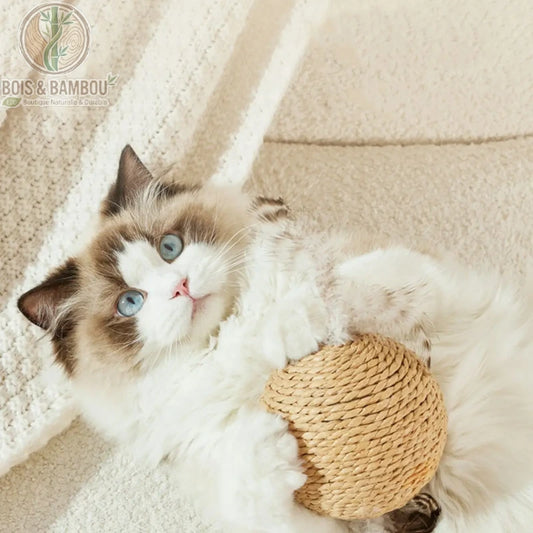 Balle à gratter interactive en sisal pour chat. Un chaton aux yeux bleus allongé sur le dos, jouant avec une balle ronde recouverte de corde de sisal naturel sur un tapis clair.