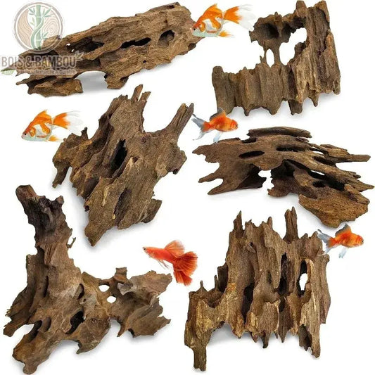 Bois Flotté Naturel 10 à 20 cm. Plusieurs morceaux de bois flotté sombre et texturé avec des cavités naturelles, illustrés avec des poissons rouges sur un fond blanc propre.