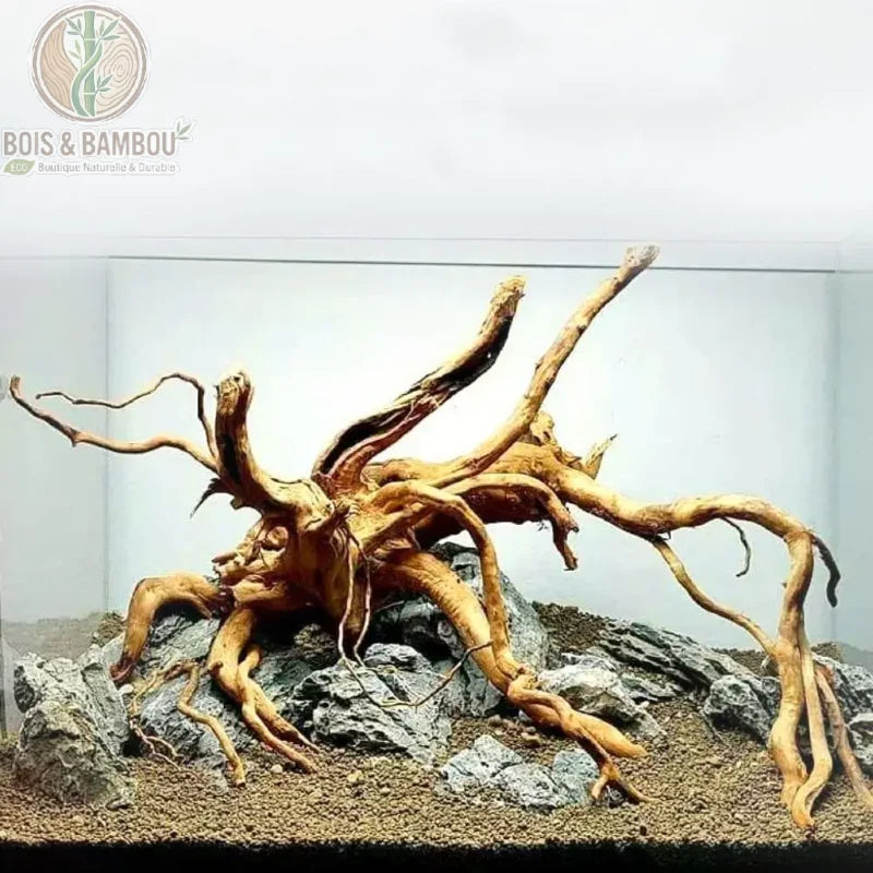 Bois Flotté Naturel Ecologique. Une grande racine de bois flotté majestueuse avec de nombreuses ramifications, installée sur des roches grises dans un terrarium ou aquarium vide.
