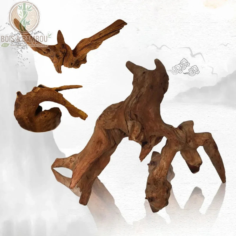 Bois Flotté Naturel. Trois morceaux de bois flotté aux formes organiques et tortueuses, présentant des textures noueuses et une teinte brune chaleureuse sur un fond blanc stylisé.