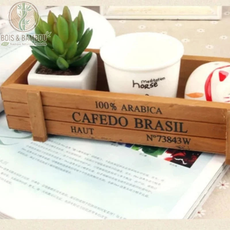 Caisse bois vintage style rétro utilisée comme pot de succulentes et plantes grasses décoration