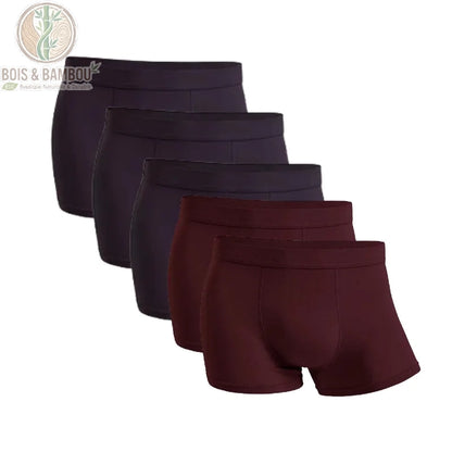 Lot 5 boxers bambou homme 3 Aubergines 2 Bourgognes