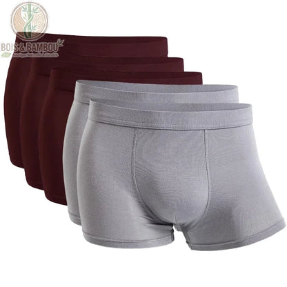 Lot 5 boxers bambou homme 3 Bourgognes 2 Gris