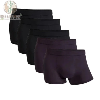 Lot 5 boxers bambou homme 3 Noirs 2 Aubergines