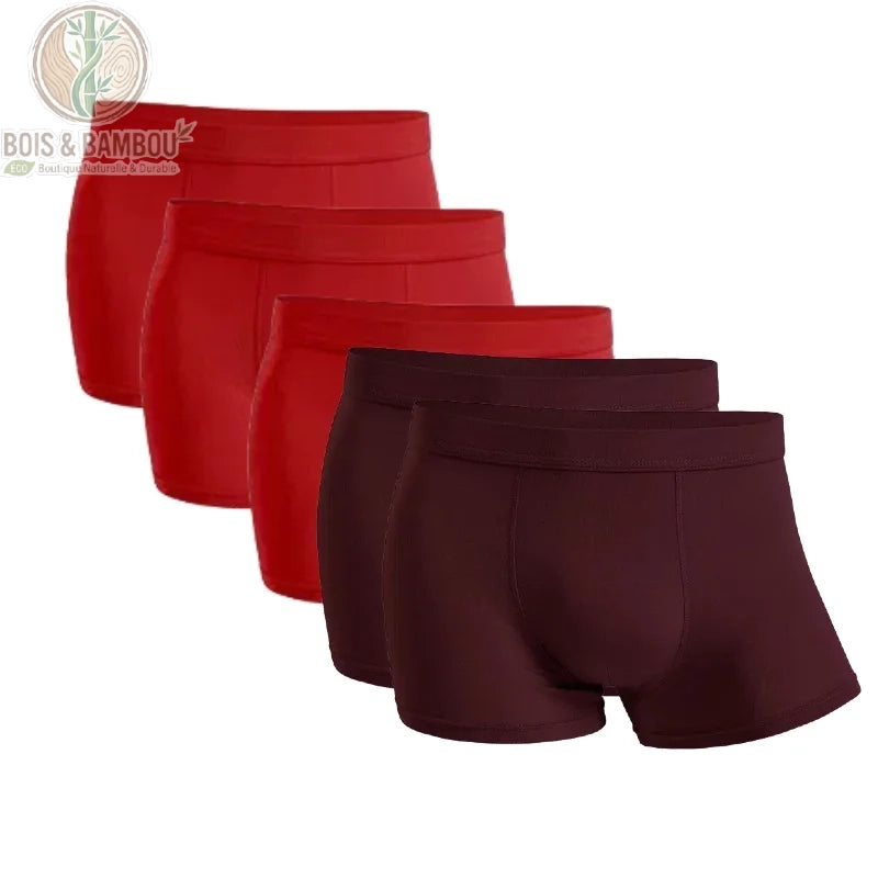 Lot 5 boxers bambou homme 3 Rouges 2 Bourgognes
