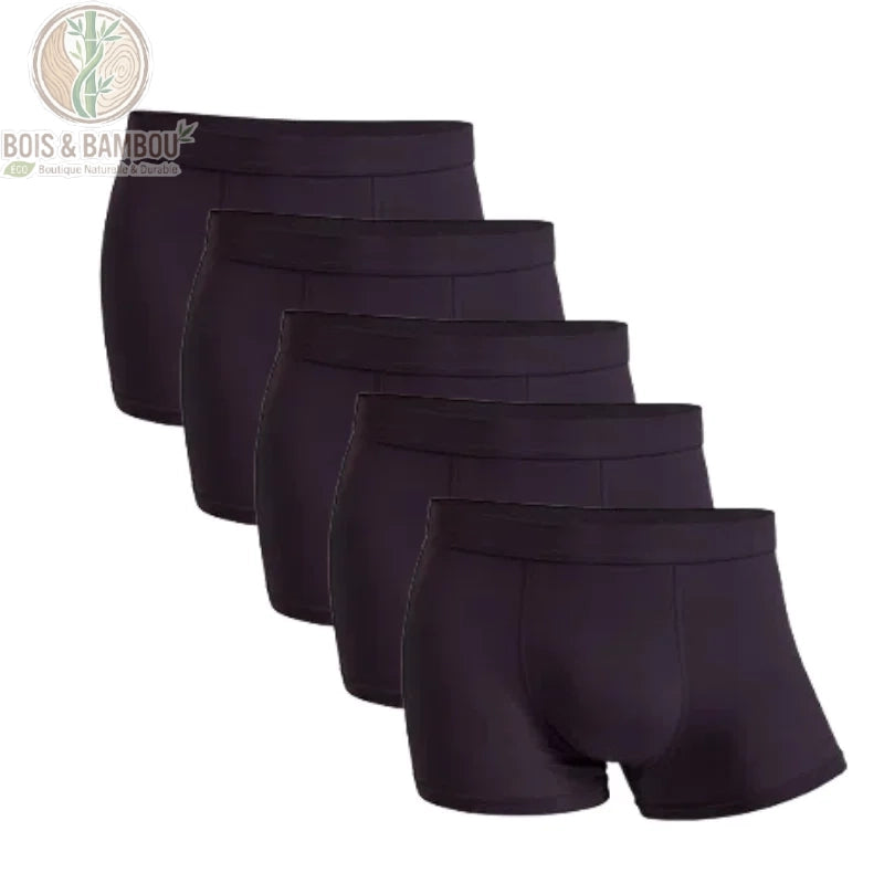 Lot 5 boxers bambou homme coloris Aubergine
