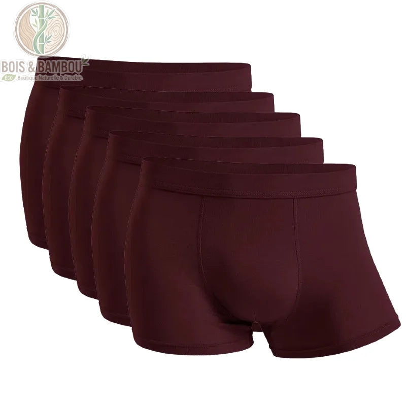 Lot 5 boxers bambou homme coloris Bourgogne