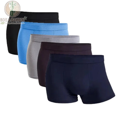 Lot 5 boxers bambou homme multicolore combinaison C