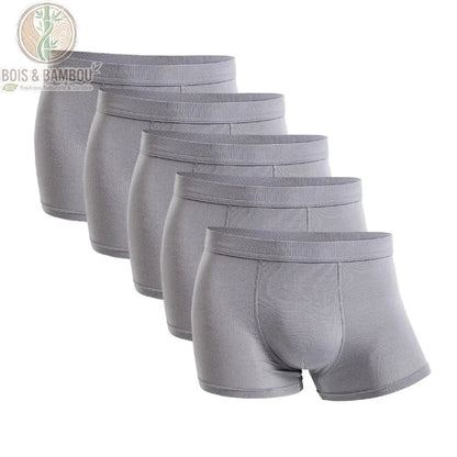 Lot 5 boxers bambou homme coloris Gris