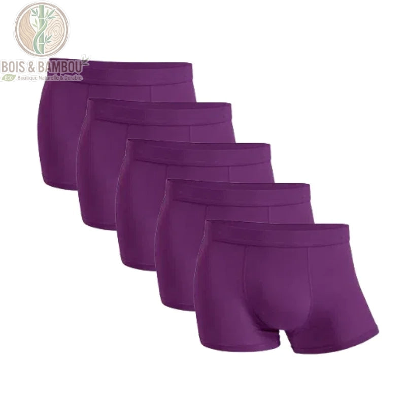 Lot 5 boxers bambou homme coloris Violet