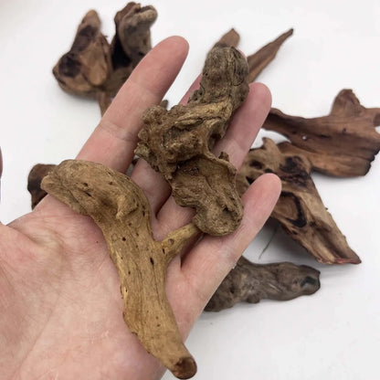 Branches de bois flotté naturel miniatures tenues dans une main, plusieurs pièces aux formes variées pour aquarium ou terrarium