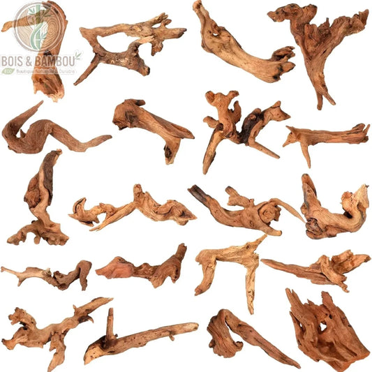Branches de Bois Flotté. Une collection de 20 morceaux de bois flotté de tailles et de formes variées, allant de formes courbes à des structures ramifiées, sur fond blanc.