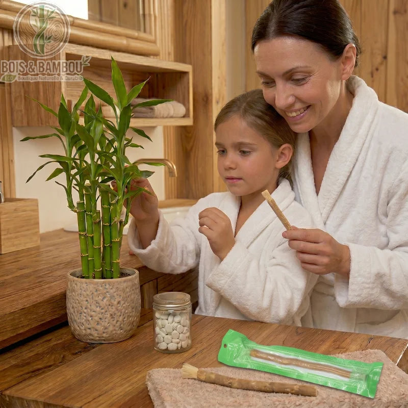 Brosse à dents Miswak naturelle tenue par une enfant et sa mère. Racine de siwak en sachet vert posée sur un meuble en bois. Solution dentaire écologique, bio et zéro déchet.