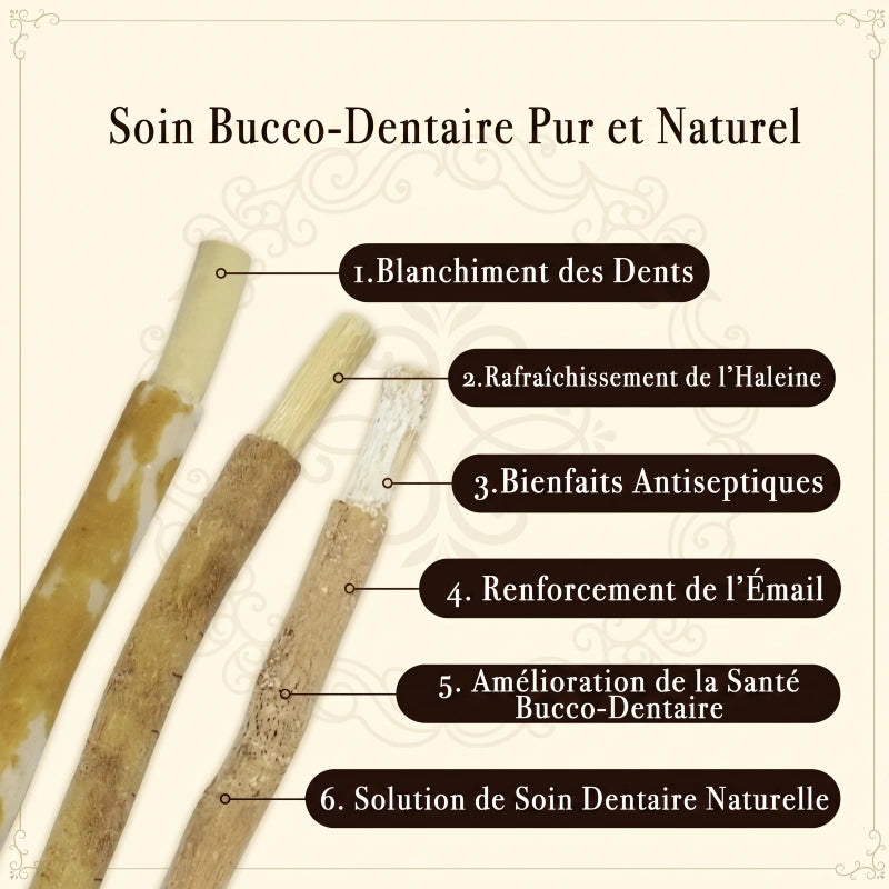 Brosse à dents Miswak rétro naturelle