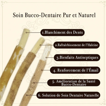 Brosse à dents Miswak rétro naturelle