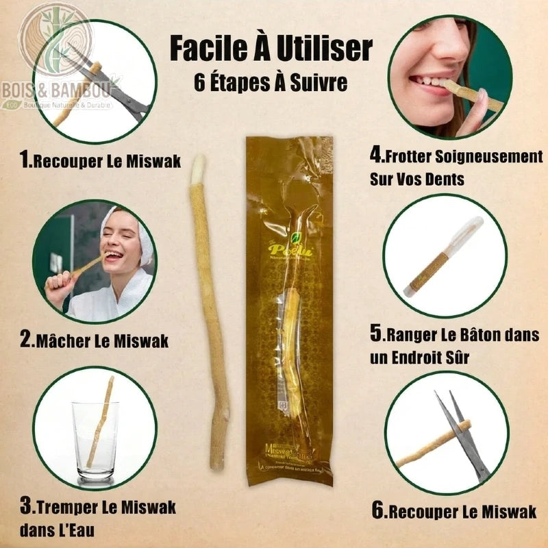 Étapes d'utilisation du bâton de miswak en bois naturel
