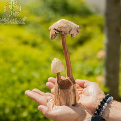 Sculpture champignon bois tenue dans une main en extérieur