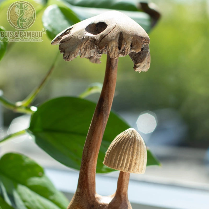 Gros plan de la coiffe évasée d'une sculpture champignon en bois