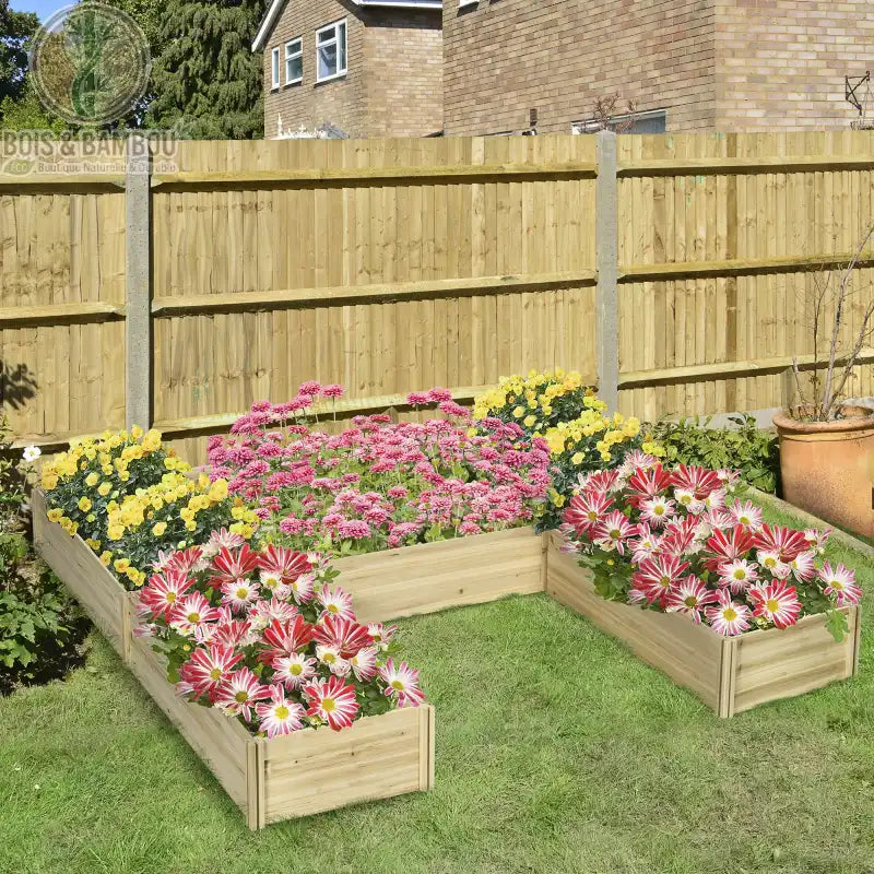 Grand Potager Modulable en Bois. Un grand bac de culture en bois clair en forme de U, généreusement fleuri de dahlias roses, jaunes et bicolores sur une pelouse devant une clôture.