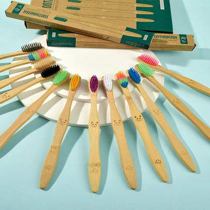 Lot de 12 Brosses à Dents en Bambou