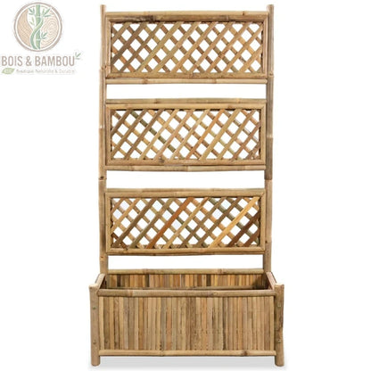 Jardinière bambou treillis claire vue ensemble 3 panneaux fond blanc