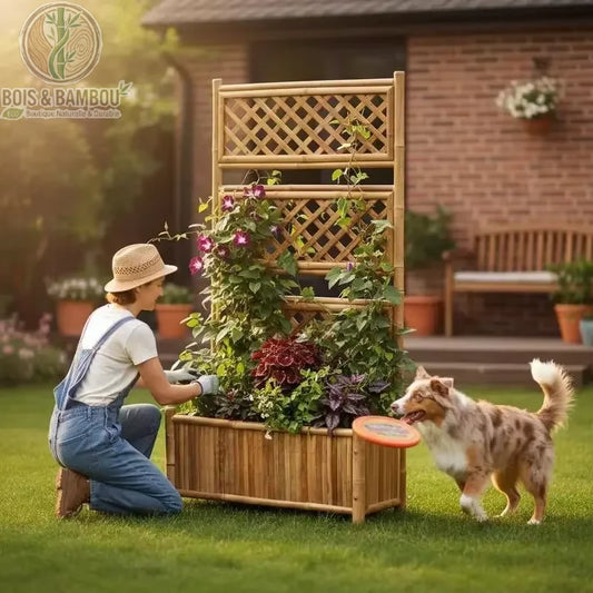 Jardinière bambou treillis claire plantes grimpantes en situation jardin