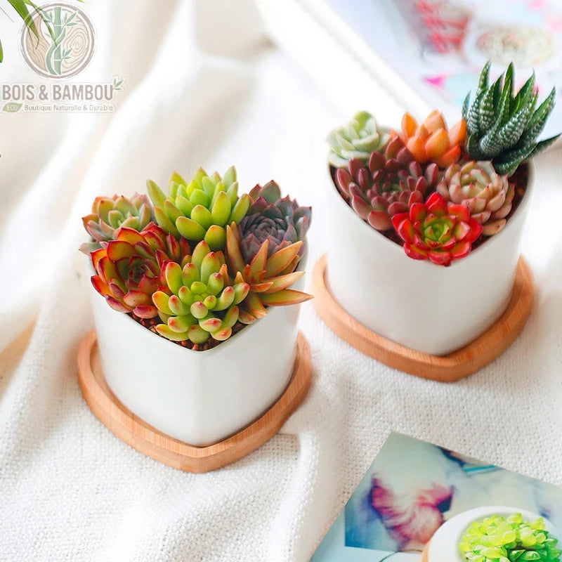 Mini plateau en bambou polyvalent