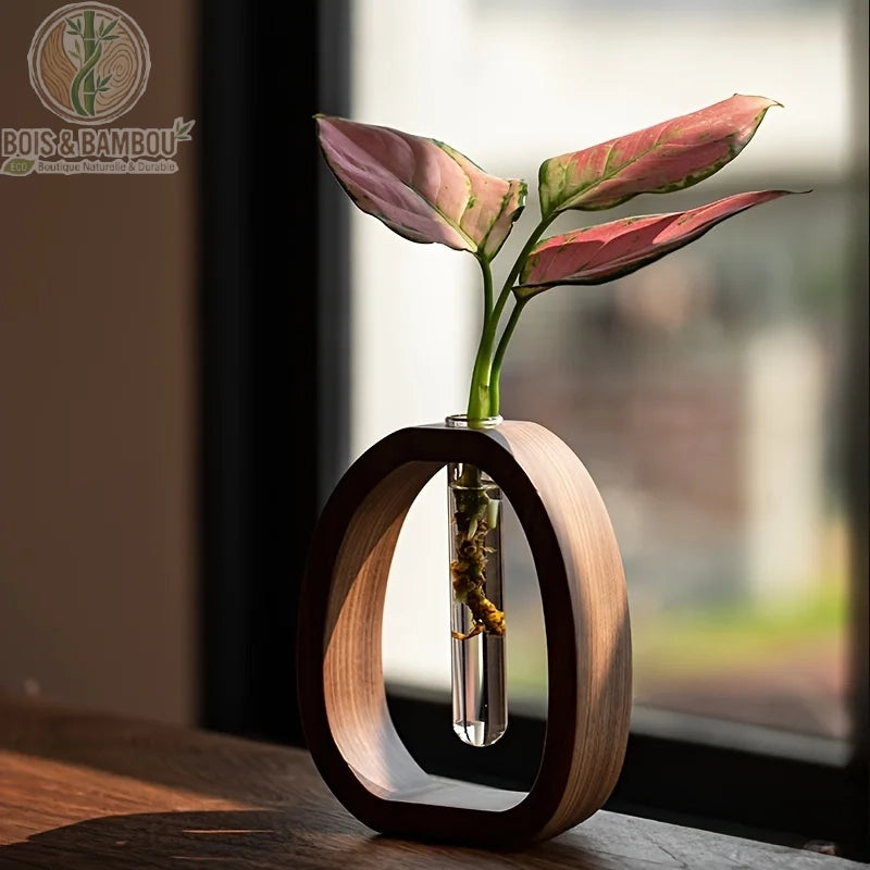 Mini vase en bois massif et verre. Un support ovale en bois sombre entourant un tube à essai en verre contenant une plante aux feuilles rosées, posé sur une table en bois ensoleillée.