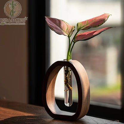 Mini vase en bois massif et verre. Un support ovale en bois sombre entourant un tube à essai en verre contenant une plante aux feuilles rosées, posé sur une table en bois ensoleillée.