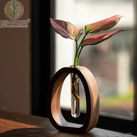 Mini vase en bois massif et verre. Un support ovale en bois sombre entourant un tube à essai en verre contenant une plante aux feuilles rosées, posé sur une table en bois ensoleillée.