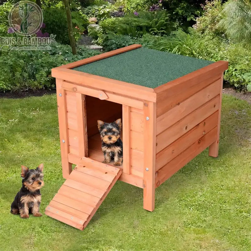 Niche pour Chien en Bois. Deux chiots Yorkshire Terrier dans une niche en bois surélevée avec un toit vert et une rampe d'accès pliable, installée dans un jardin verdoyant.
