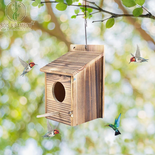 Nichoir à oiseaux en bois naturel. Un nichoir suspendu en bois brûlé avec un perchoir, entouré de colibris en vol devant un arrière-plan de feuillage flou et lumineux.