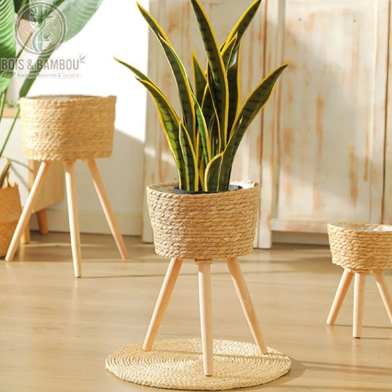 Panier de Plantes Tissé sur Pieds. Un élégant cache-pot en corde tressée monté sur trois pieds fins en bois clair, accueillant une plante Sansevieria dans un intérieur lumineux.