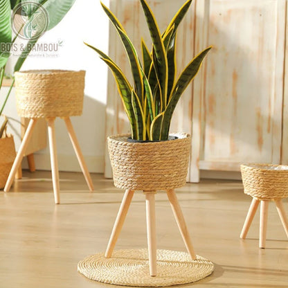 Panier de Plantes Tissé sur Pieds. Un élégant cache-pot en corde tressée monté sur trois pieds fins en bois clair, accueillant une plante Sansevieria dans un intérieur lumineux.