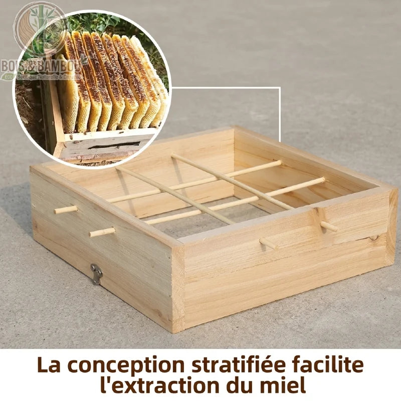Étage de ruche en cèdre avec cadres et extraction du miel