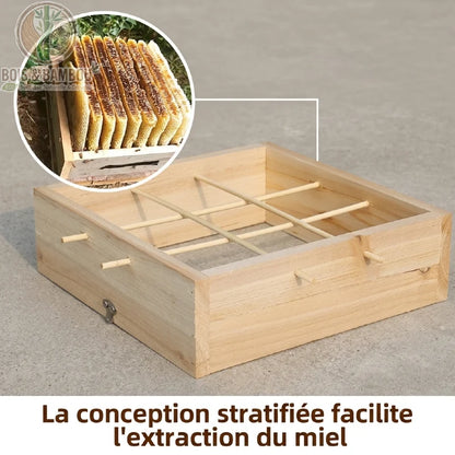 Étage de ruche en cèdre avec cadres et extraction du miel