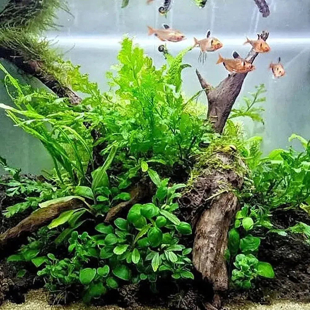 Bois Flotté Naturel Foncé