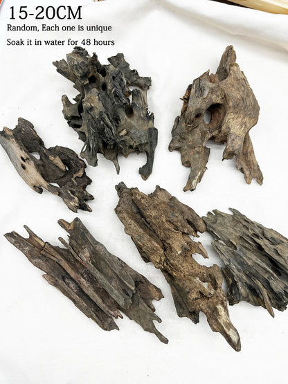 Bois Flotté Naturel 10 à 20 cm