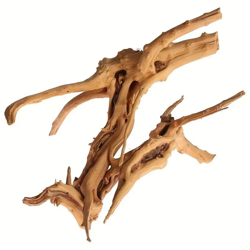 Bois Flotté Naturel Ecologique