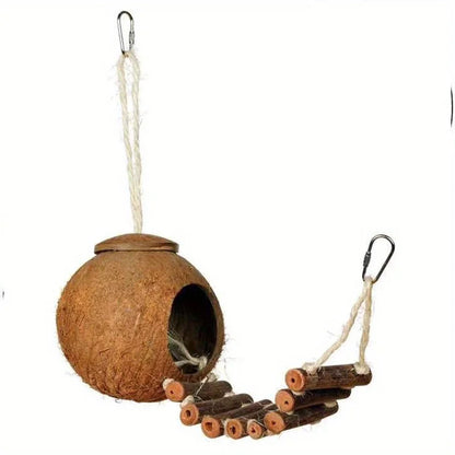 Nid en noix de coco naturelle avec échelle