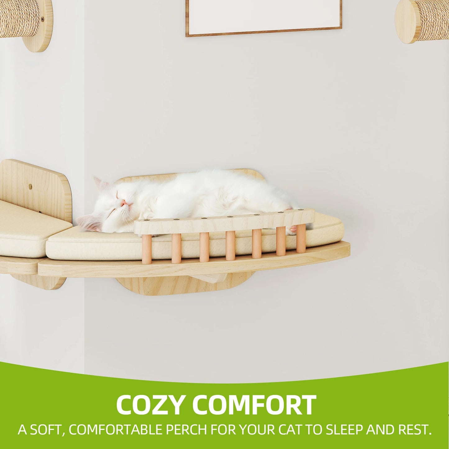 Mur d'Escalade en Bois de Pin