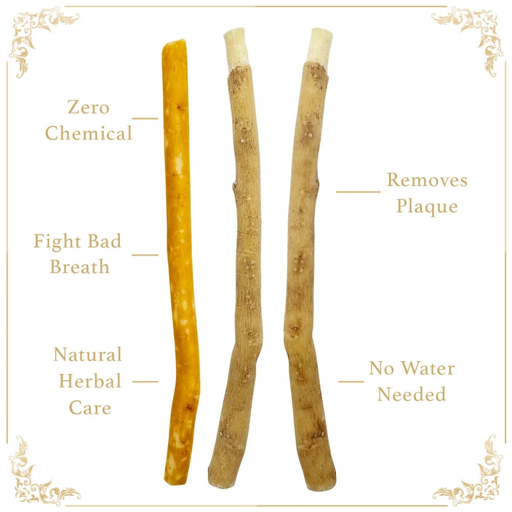 Brosse à dents Miswak 100% naturelle