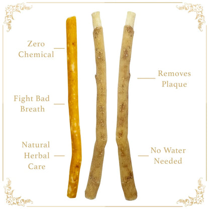 Brosse à dents Miswak 100% naturelle