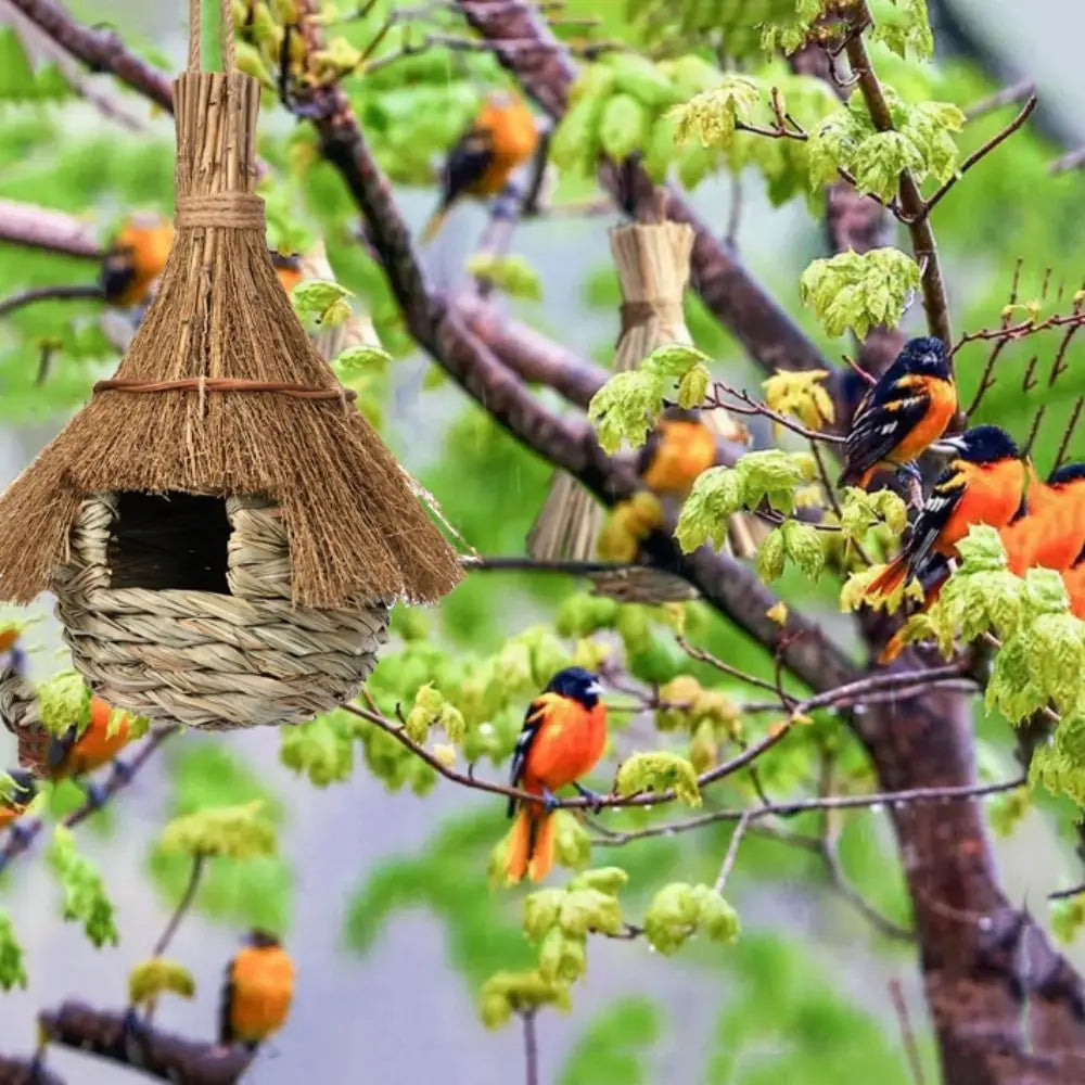 Nid d'oiseau en paille tissée