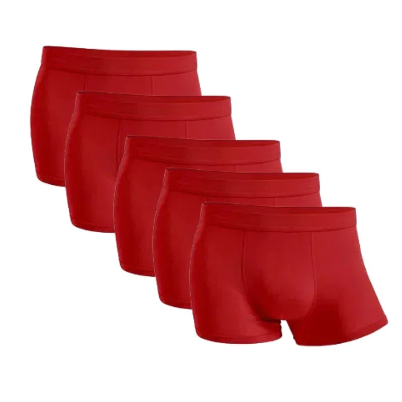 Boxers en fibre de bambou pour homme
