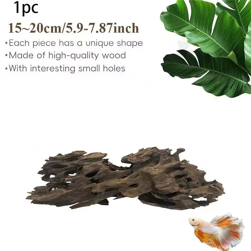 Bois Flotté Naturel 10 à 20 cm